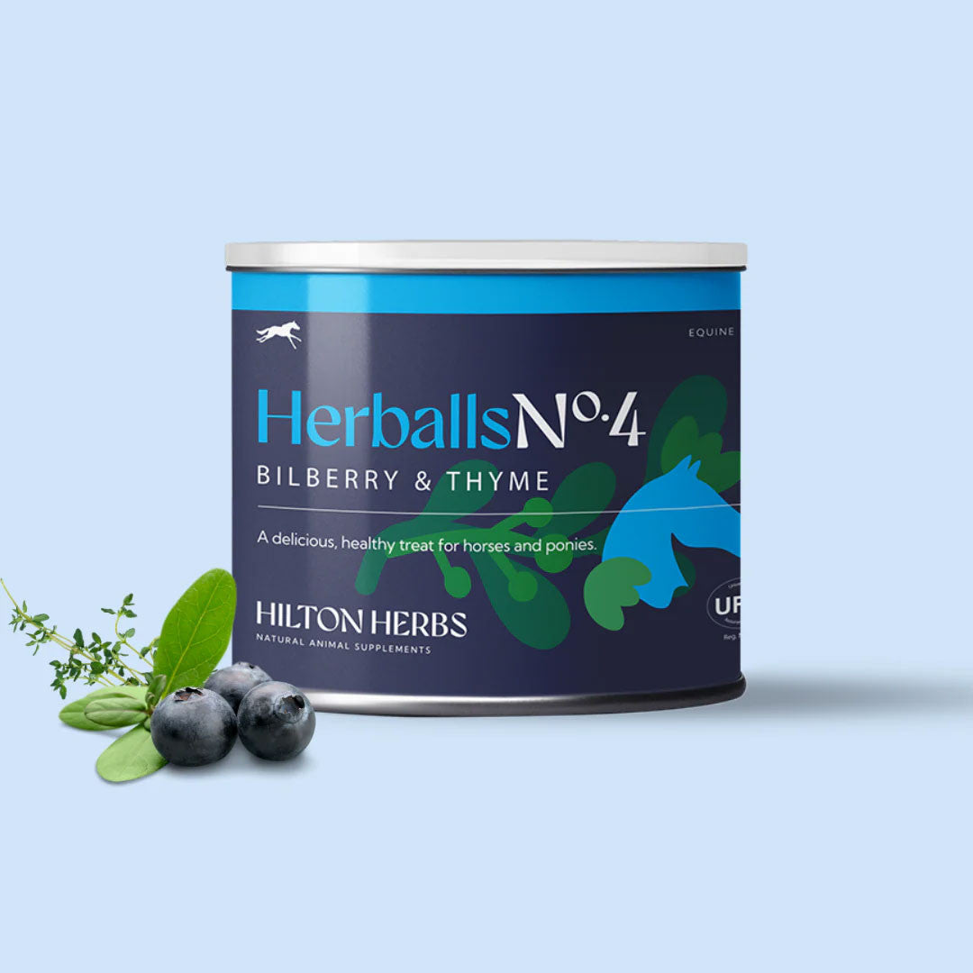 HILTON HERBS Herballs N°. 4 Bilberry & Thyme