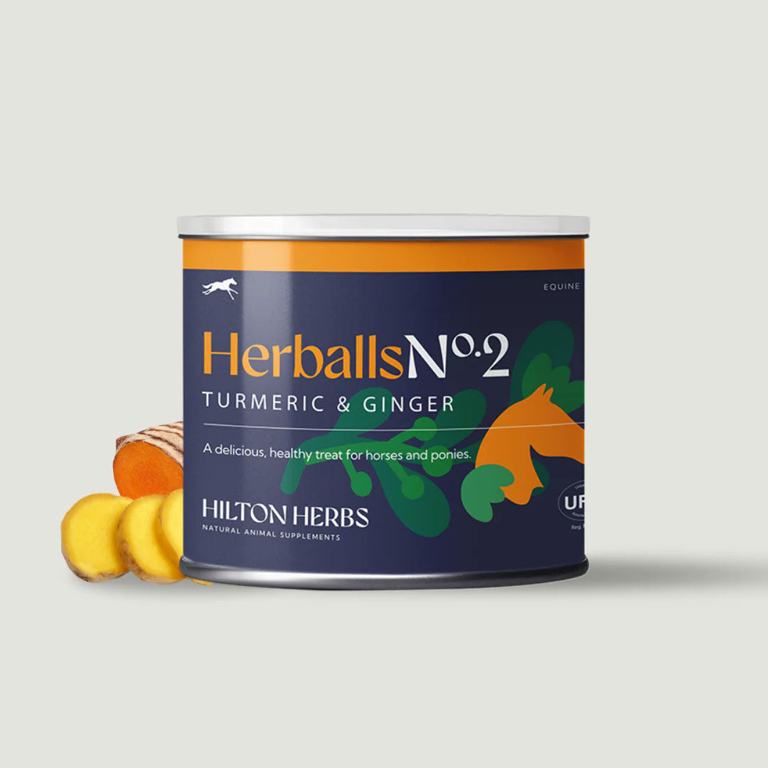 HILTON HERBS Herballs N°. 2 Turmeric & Ginger