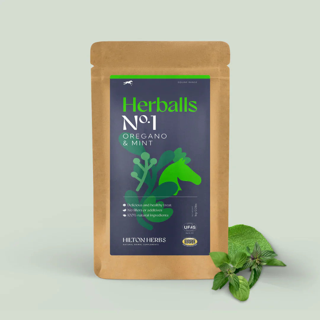 HILTON HERBS Herballs N°. 1 Oregano & Mint