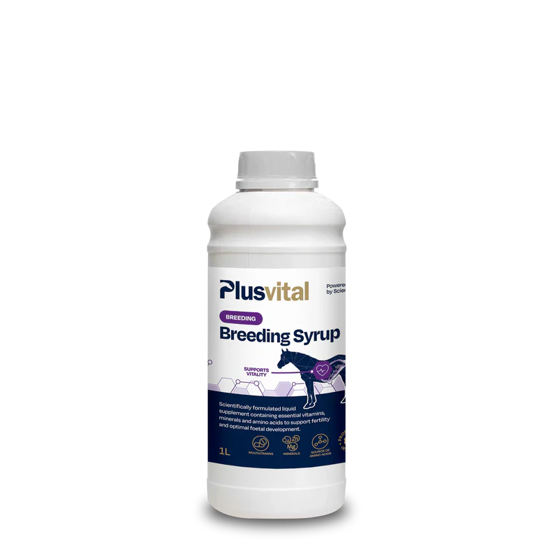 PLUS VITAL Breeding Syrup - Napredna podpora za plemenske kobile, žrebce in žrebeta