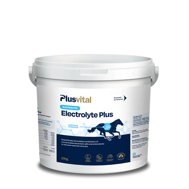 PLUS VITAL Elecytrolite Plus 2kg - Za hitro okrevanje po naporu in podpora mišicam