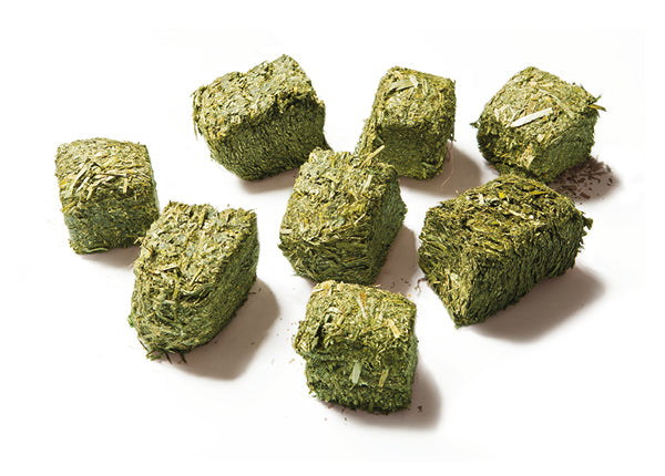 FORTE WAFERJI BASIC 20kg