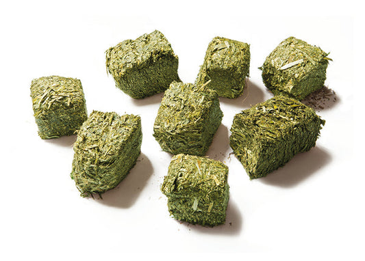 FORTE WAFERJI BASIC 20kg