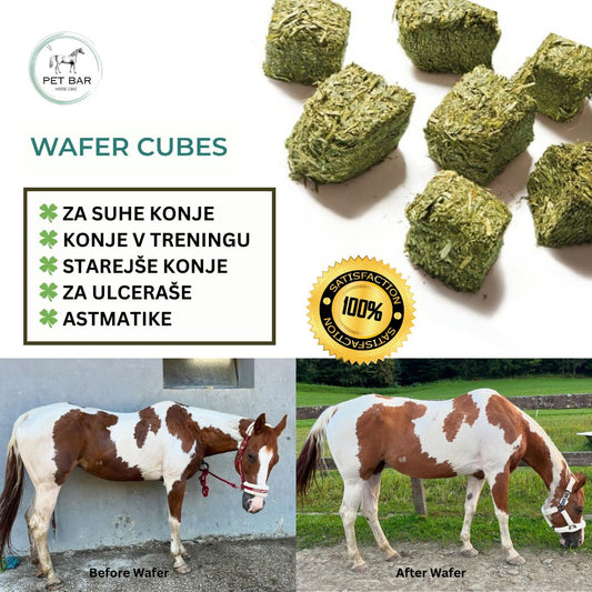 FORTE WAFERJI BASIC 20kg
