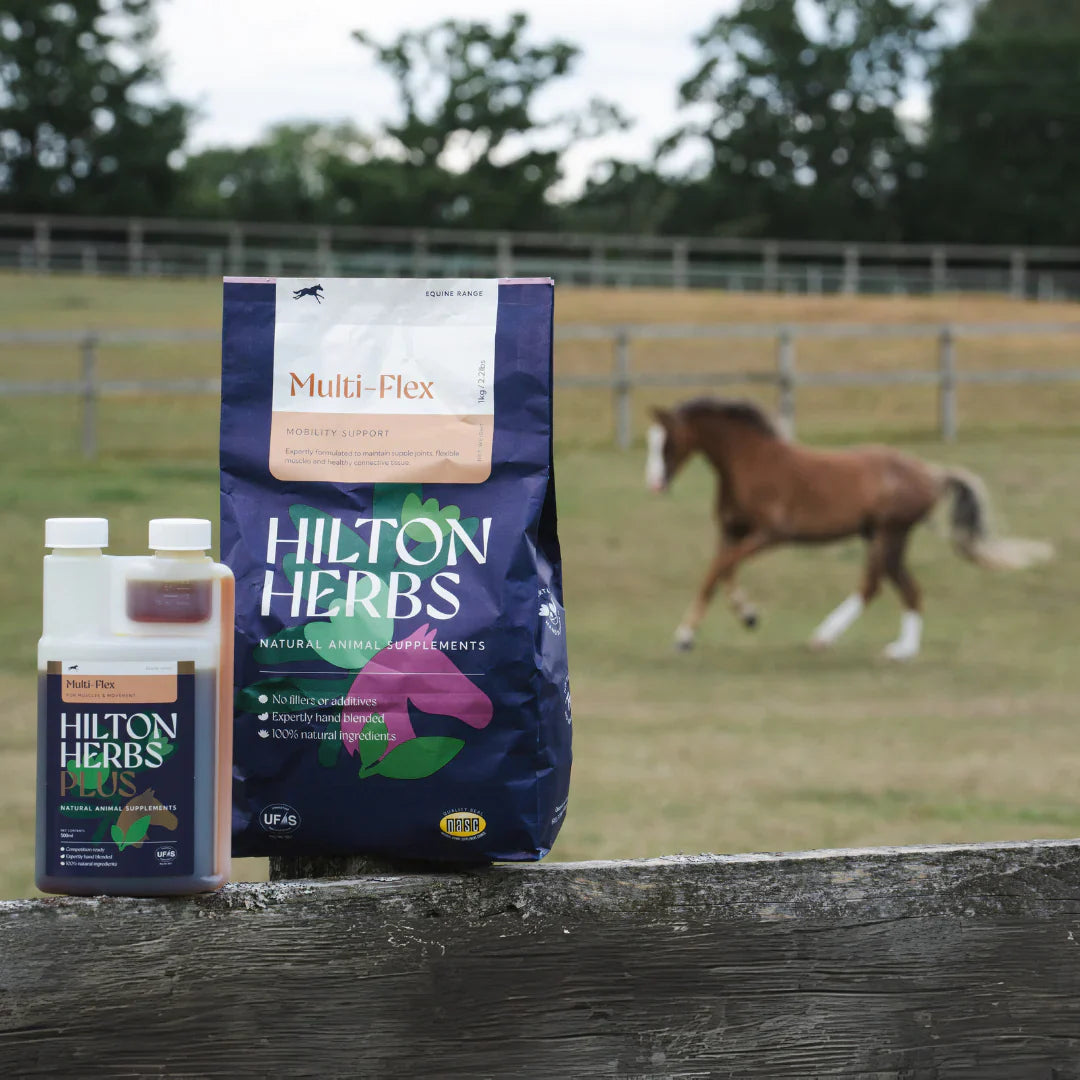 HILTON HERBS Multi Flex- za sklepe 1kg