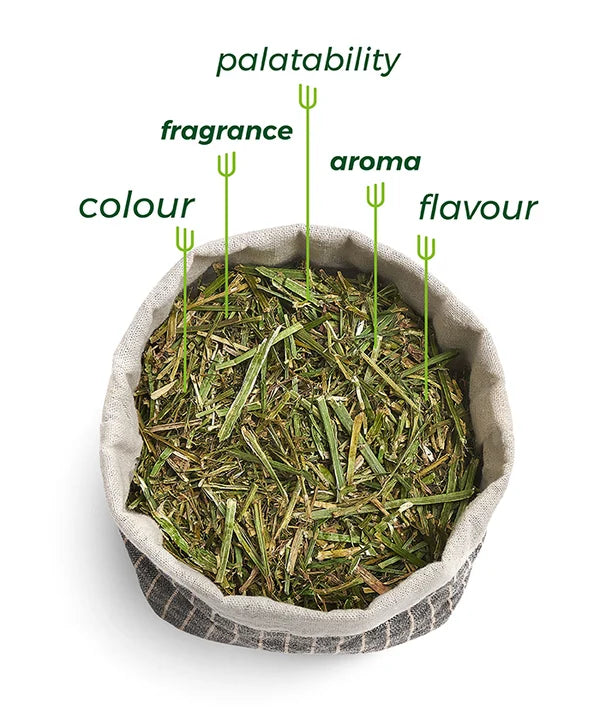 FORTE WAFERJI BASIC 20kg