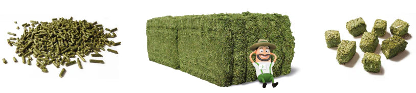FORTE WAFERJI ALFA ALFA S KOSMIČI 20kg